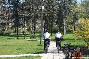 zdjęcie kolorowe, dwaj policjanci w patrolu rowerowym  jadą alejką w parku, widok z tyłu