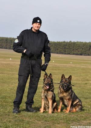 Policjant wraz ze swoimi psami