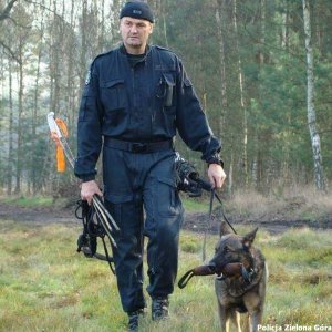 Policjant idzie ze swoim psem - w trakcie ćwiczeń